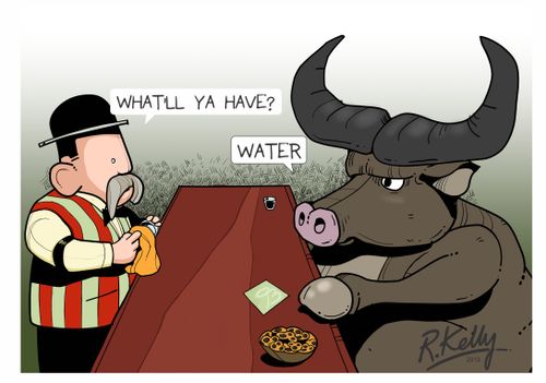 "What'll ya have?"
