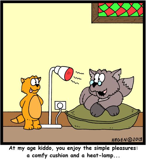 "At my age kiddo, you enjoy the simple pleasures: a comfy cushion and a heat-lamp..."