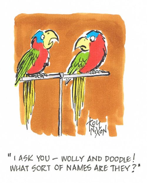 "I ask you - Wolly and Doodle! What sort of names are they?"