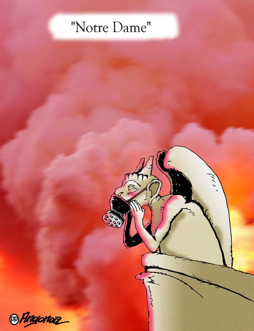 Notre Dame Fire