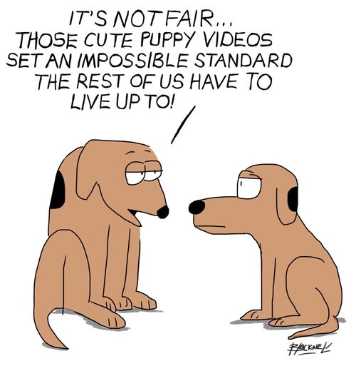 "It's not fair. . . thoe cute puppy videos set an impossible standard the rest of us have to live up to!"