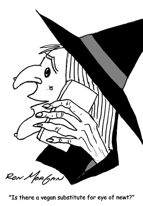 "Is there a vegan substitute for eye of newt?"