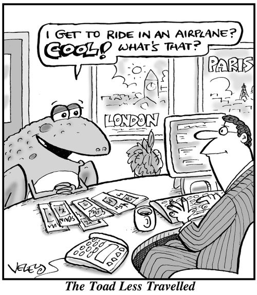 The Toad Less Travelled