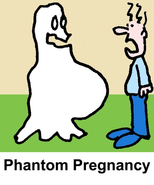 Phantom Pregnancy