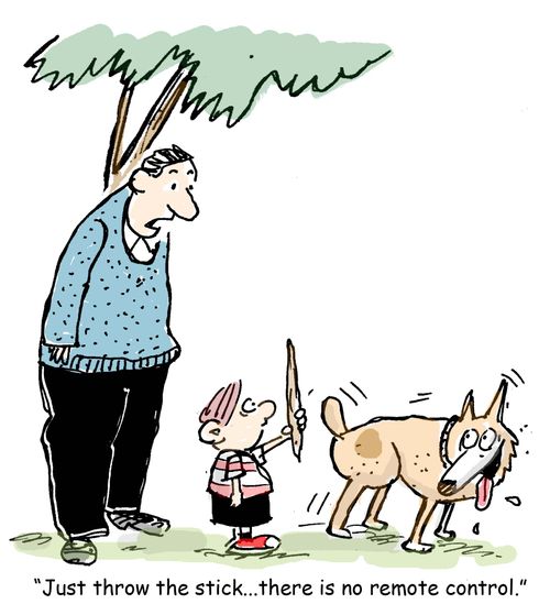 "Just throw the stick...there is no remote control."