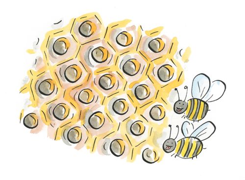 Honeycomb