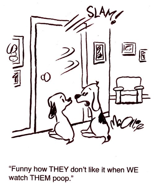 "Funny how THEY don't like it when WE watch THEM poop."