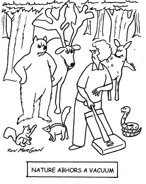 Nature Abhors A Vacuum
