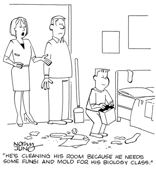 "He's cleaning his room because he needs some fungi and mold for his biology class."