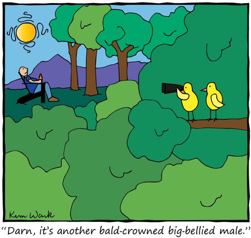 "Darn, it's another bald-crowned big bellied male."