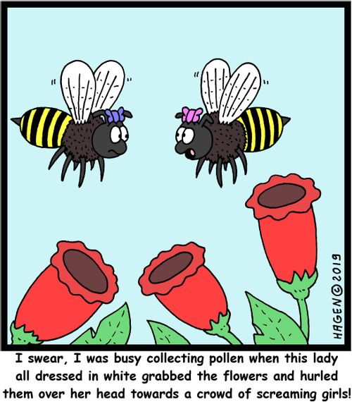 "I swear, I was busy collecting pollen when this lady all dressed in white grabbed the flowers and hurled them over her head towards a crowd of screaming girls!"