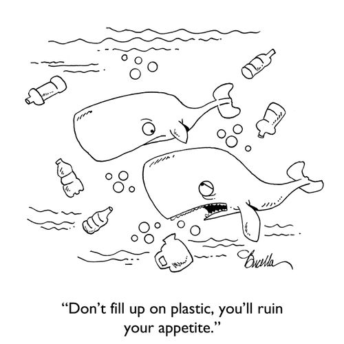 "Don't fillup on plastic, you'll ruin your appetite."