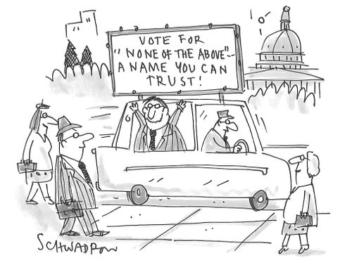 Vote for 'None of the Above' -  A Name You Can Trust!