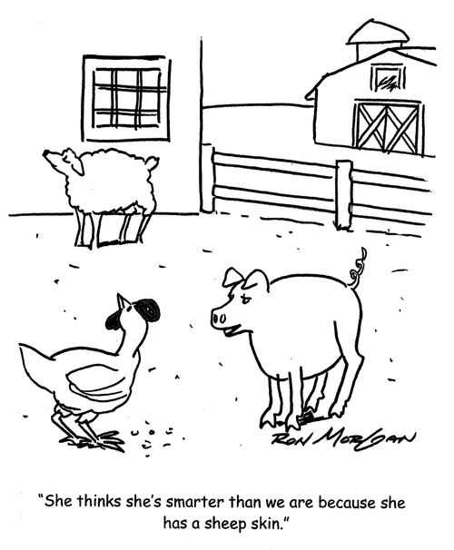 "She thinks she's smarter than we are because she has a sheep skin."