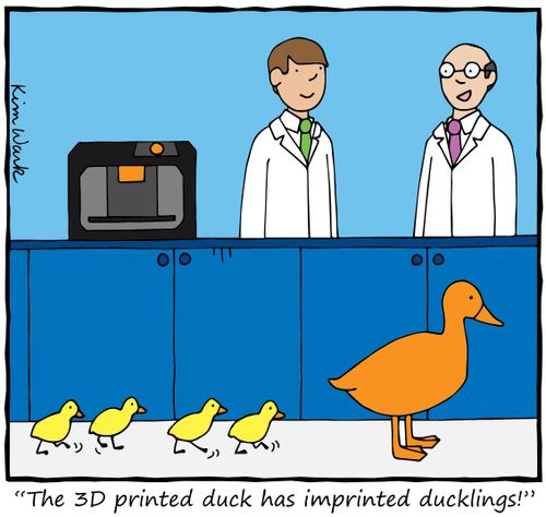 "The 3D printed duck has imprinted ducklings!"