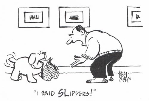 "I said SLIPPERS!"