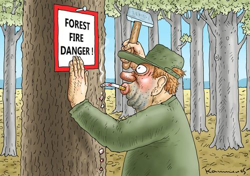 Forest Fire Hazard