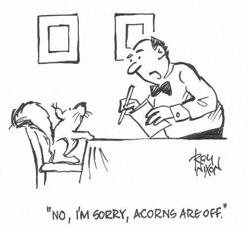"No, I'm sorry, acorns are off."