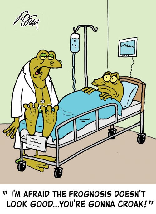 "I'm afraid the frognosis doesn't look good...you're gonna croak!"