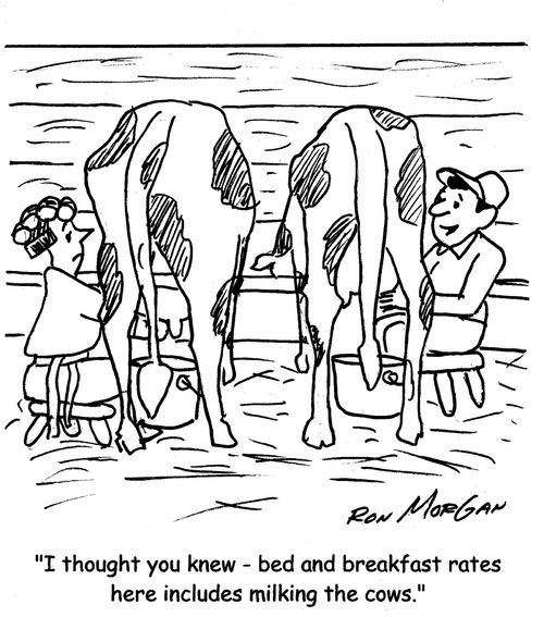 "I thought you knew - bed and breakfast rates here include milking the cows."