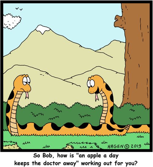 "So Bob, how is "an apple a day keeps the doctor away" working out for you?"
