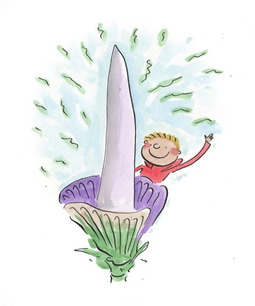 Titan Arum