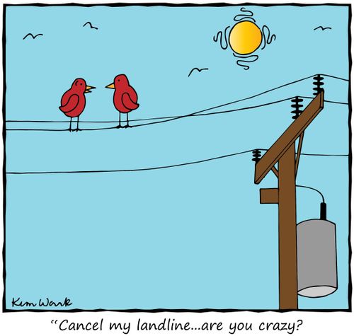 "Cancel my landline...are you crazy?"