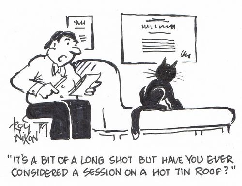 "It's a bit of a long shot, but have you ever considered a session on a hot tin roof?"