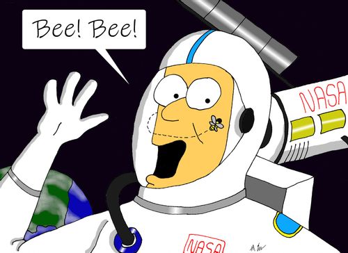 Space bee