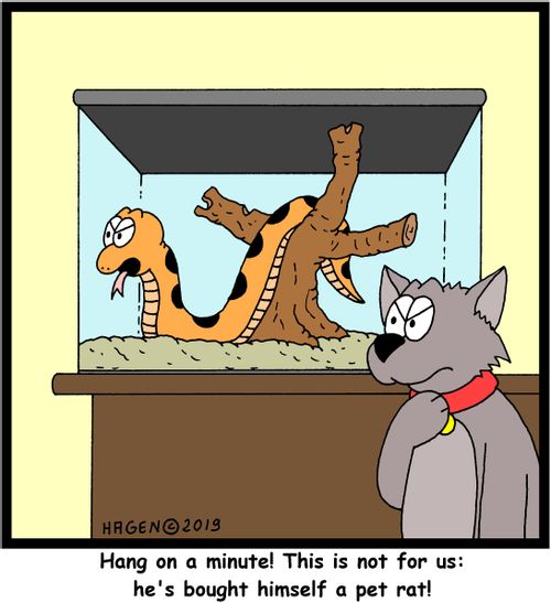 "Hang on a minute! This is not for us: he's bought himself a pet rat!"