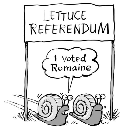 Lettuce referendum: "I voted romaine."