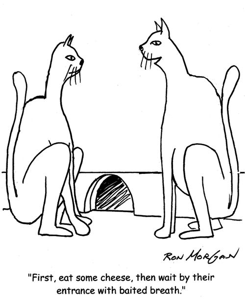 "First, eat some cheese, then wait by their entrance with baited breaths."