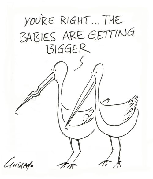 "You're right... the babies are getting bigger."