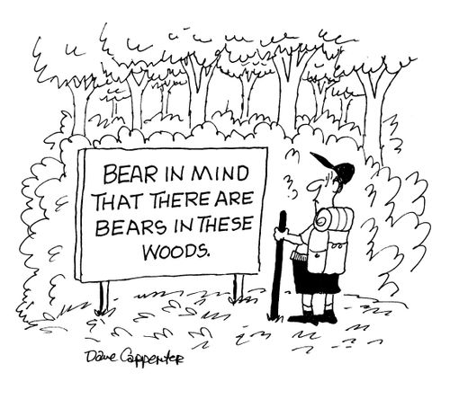 Bear in mind that there are bears in these woods.