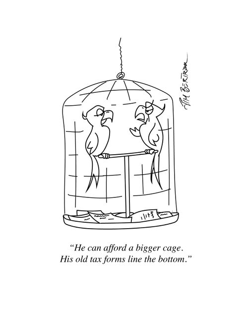 "He can afford a bigger cage. His old tax forms line the bottom."