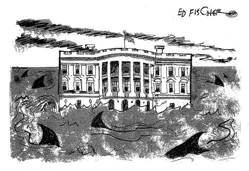 Sharks surround the White House