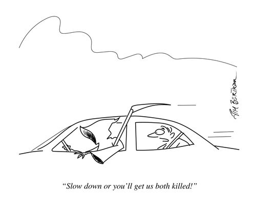 "Slow down or you'll get us both killed!"
