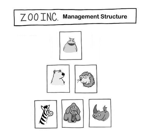 Zoo Inc. Management Structure