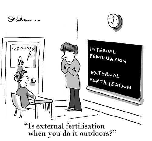 "Is external fertilisation when you do it outdoors?"
