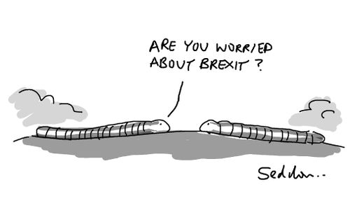 "Are you worried about Brexit?"