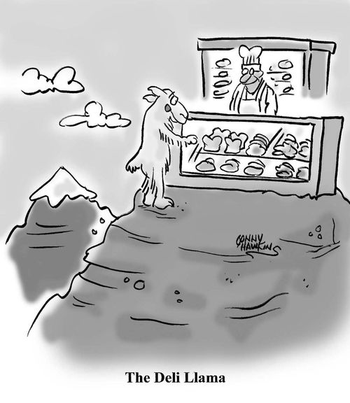 The Deli Llama
