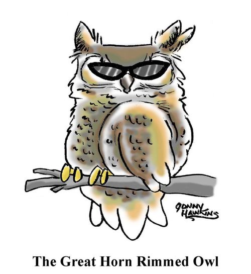 The Great Horn Rimmed Owl