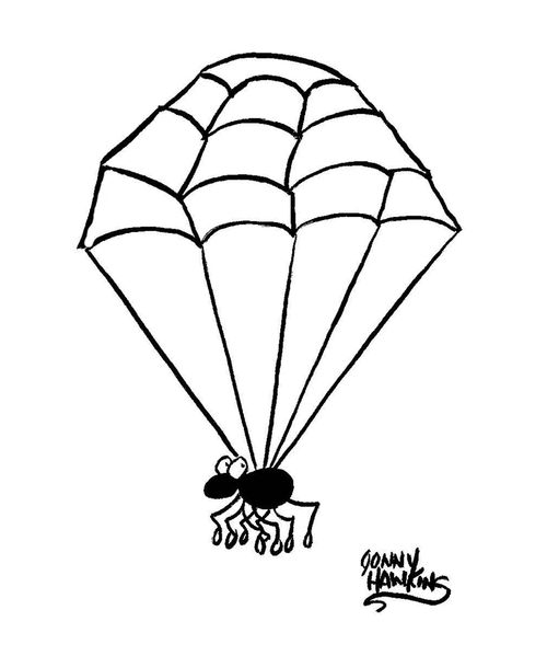 Spider with web like parachute