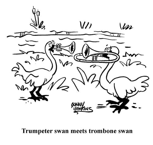 Trumpeter swan meets trombone swan.