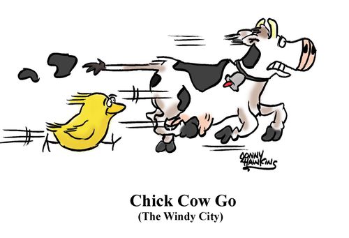 Chick Cow Go (The Windy City)