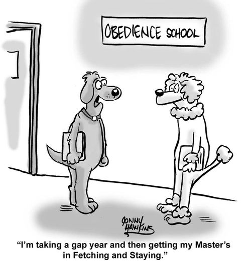 "I'm taking a gap year and then getting my Master's in Fetching and Staying."