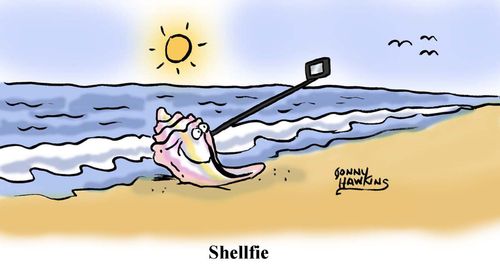 Shellfie
