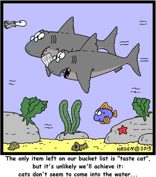 "The only item left on our bucket list is "taste cat", but it's unlikely we'll achieve it: cats don't seem to come into the water..."