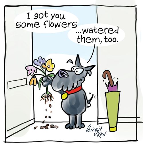 "I got you some flowers..watered them, too.".