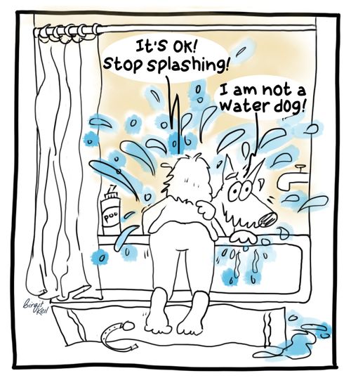 "It's OK! Stop splashing!"